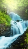 📱綺麗な緑の森と流れるような滝 ZenFone Max Pro (M2) 壁紙・待ち受け
