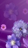 📱紫・ピンクの花 Xperia 8 Lite 壁紙・待ち受け