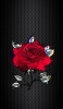 📱赤い薔薇のイラスト 黒い背景 ZenFone 7 Pro 壁紙・待ち受け