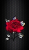 📱赤い薔薇のイラスト 黒い背景 moto e7 power 壁紙・待ち受け