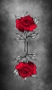 📱赤い薔薇のイラスト ZenFone 7 Pro 壁紙・待ち受け