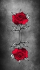 📱赤い薔薇のイラスト Galaxy A32 5G 壁紙・待ち受け