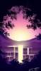 📱紫の景色 滝と森 OPPO A5 2020 壁紙・待ち受け