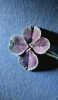 📱紫と緑の4つ葉 OPPO Reno3 A 壁紙・待ち受け