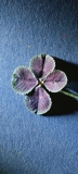 📱紫と緑の4つ葉 Redmi Note 9S 壁紙・待ち受け