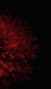 📱暗い赤の花 Redmi Note 9S 壁紙・待ち受け
