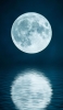 📱海に鏡面して映る満月 ZenFone 7 Pro 壁紙・待ち受け