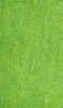 📱綺麗に刈り揃えられた芝生 ZenFone 7 Pro 壁紙・待ち受け
