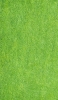📱綺麗に刈り揃えられた芝生 Galaxy A32 5G 壁紙・待ち受け