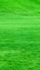 📱鮮やかな緑の芝生 Redmi Note 10 Pro 壁紙・待ち受け
