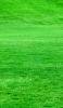 📱鮮やかな緑の芝生 OPPO A5 2020 壁紙・待ち受け