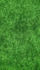 📱綺麗な芝生 Redmi Note 9S 壁紙・待ち受け