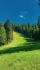 📱緑の森林 草原 青空 Galaxy A32 5G 壁紙・待ち受け