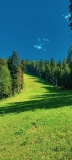 📱緑の森林 草原 青空 Galaxy A32 5G 壁紙・待ち受け