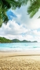 📱椰子の木 水色の綺麗な海 砂浜 OPPO R15 Pro 壁紙・待ち受け