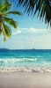 📱常夏 椰子の木と綺麗な海 ZenFone Max Pro (M2) 壁紙・待ち受け