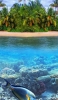 📱無人島 熱帯魚 海の中 ZenFone Max Pro (M2) 壁紙・待ち受け