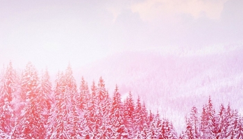 📱雪景色 針葉樹 白い雲 ZenFone 7 壁紙・待ち受け