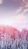📱雪景色 針葉樹 白い雲 Redmi Note 9S 壁紙・待ち受け