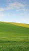 📱緑・黄緑の丘陵地帯 青空 ZenFone 7 Pro 壁紙・待ち受け