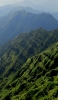 📱緑の綺麗な山脈 ZenFone 7 Pro 壁紙・待ち受け