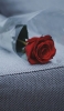 📱椅子の上の赤い薔薇 OPPO Reno3 5G 壁紙・待ち受け
