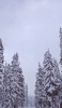 📱雪に覆われた風景 OPPO Reno5 A 壁紙・待ち受け