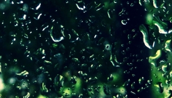 📱緑色の自然が透けて見える水滴がついたガラス moto g8 power lite 壁紙・待ち受け