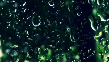 📱緑色の自然が透けて見える水滴がついたガラス ZenFone 7 壁紙・待ち受け