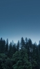📱暗く青い山 森林 ZenFone 7 壁紙・待ち受け