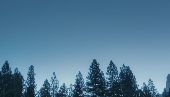 📱暗く青い山 森林 Redmi Note 9S 壁紙・待ち受け