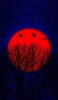 📱赤い月と鶴と枯れ木 OPPO Reno3 A 壁紙・待ち受け
