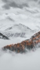 📱一部が赤い木々と雪山と立ち込める霧 Redmi Note 10 Pro 壁紙・待ち受け