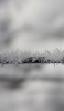 📱木の枝と雪 Galaxy S21 5G 壁紙・待ち受け
