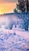 📱雪景色と夕日 Galaxy A32 5G 壁紙・待ち受け