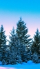 📱青空と雪が残る木々 ZenFone 7 壁紙・待ち受け