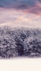 📱雪に覆われた樹と土地 OPPO A5 2020 壁紙・待ち受け