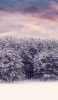 📱雪に覆われた樹と土地 OPPO Reno5 A 壁紙・待ち受け