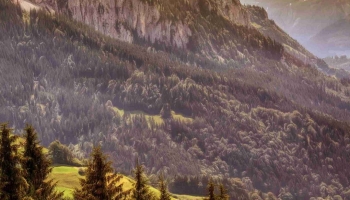 📱セピア調の岩山と林 ZenFone 6 Android 壁紙・待ち受け