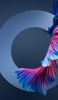 📱楕円 青とピンクの魚の尾びれ Google Pixel 5 Android 壁紙・待ち受け