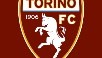 📱トリノFC（Torino F.C. 1906） moto g9 play 壁紙・待ち受け