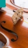 ヴァイオリン（弾いてみた）の人気YouTube動画